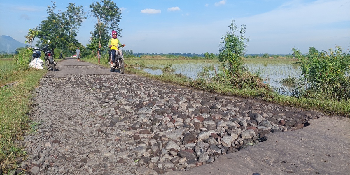 TINGGAL BATU: Kondisi jalan desa yang menghubungkan Desa Sumberejo, Kecamatan Ambulu dengan Desa Ampel, Kecamatan Wuluhan, kemarin (20/1). Jalan penghubung dua desa tersebut menyisakan bebatuan setela
