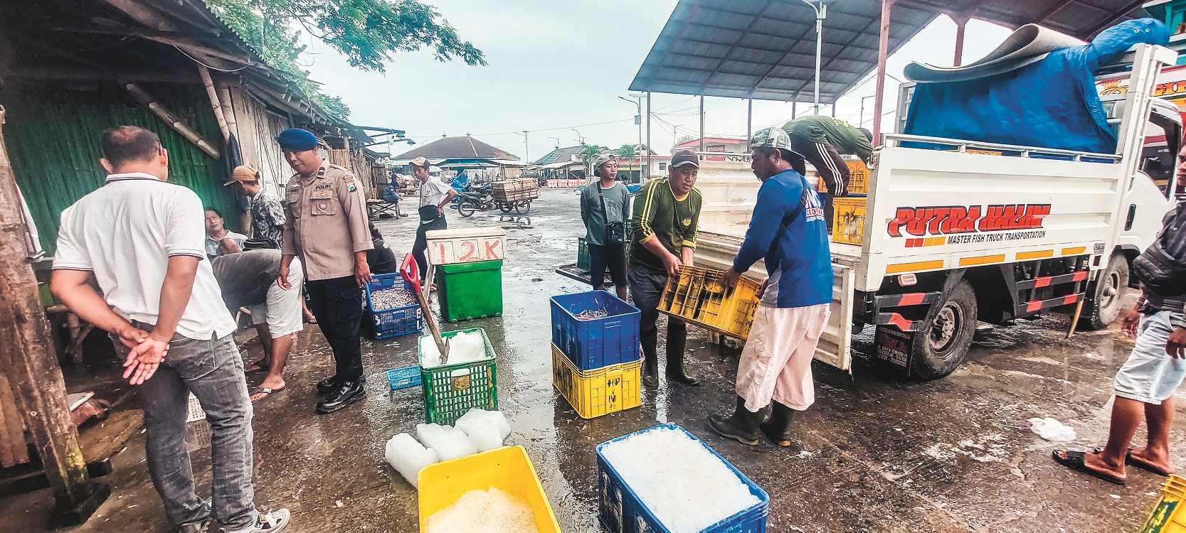 DARI LUAR JEMBER: Anggota Satpolair Polres Jember melihat ikan yang didatangkan dari luar Jember ke TPI Puger, akibat cuaca ekstrem.