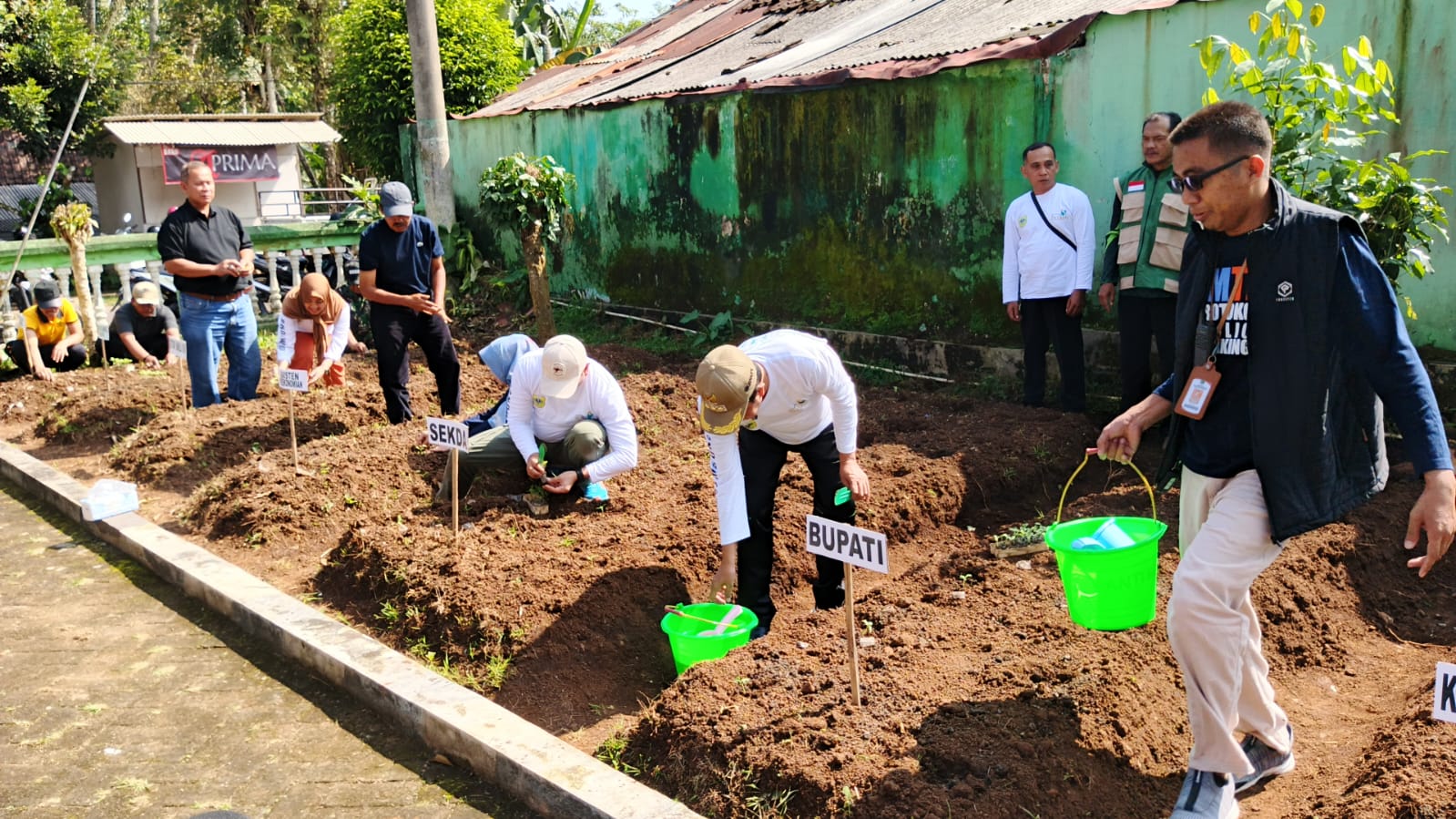 CARI SOLUSI: Bupati Bondowoso, Abdul Hamid Wahid bersiap menanam sayur di halaman warga di Kecamatan Pakem, kemarin.(ILHAM WAHYUDI/RADAR IJEN)