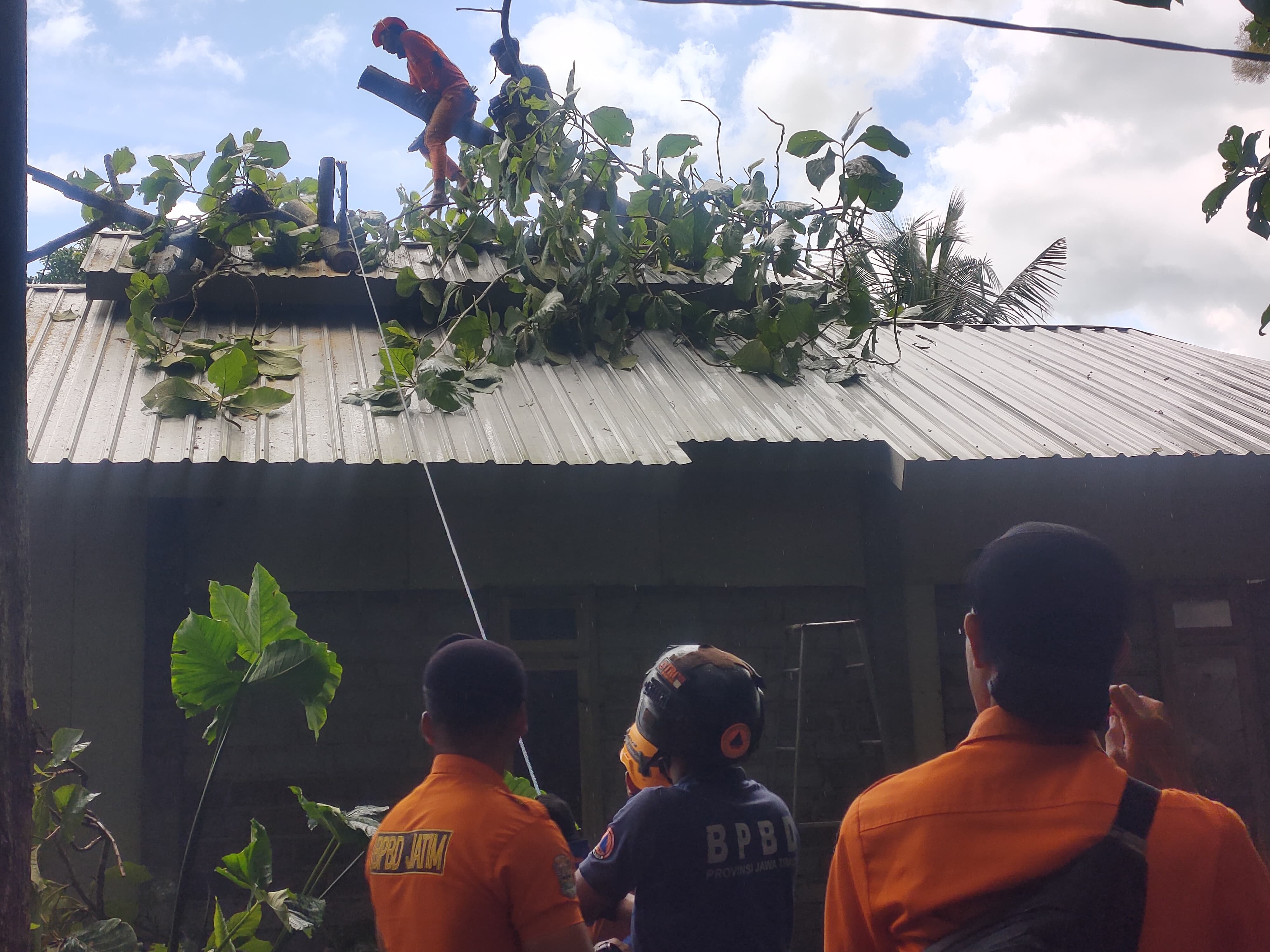 EVAKUASI: Petugas saat evakuasi pohon tumbang di wilayah Tegal Ampel, (3/2).