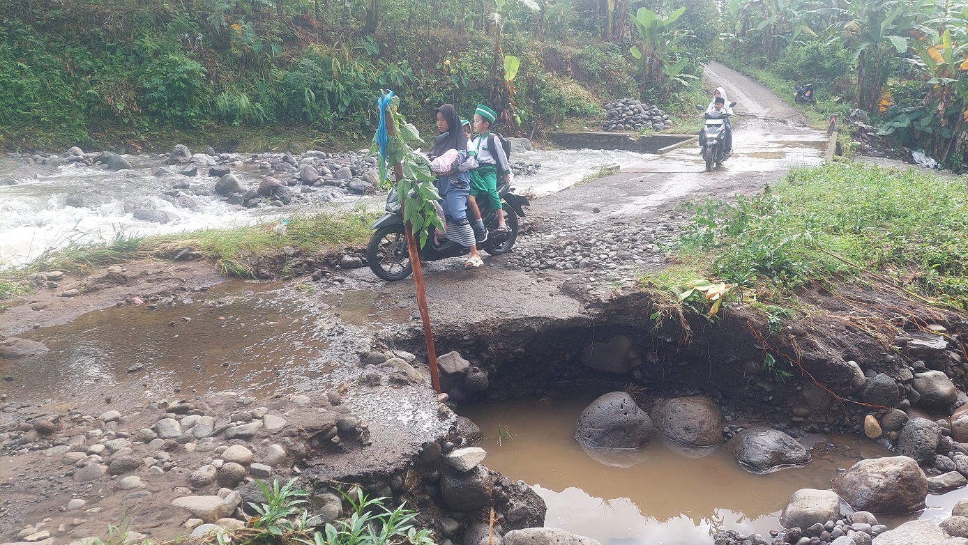 DAMPAK BANJIR: Luapan Sungai Pakis di Dusun Cempaka, Desa Pakis, Kecamatan Panti menggerus badan jalan hingga separuh ambrol. Akses penghubung antar dusun kini hanya bisa dilalui kendaraan roda dua.