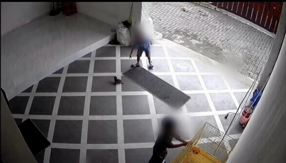TEREKAM: Aksi dua bocah saat nyelonong masuk rumah warga di salah satu perumahan di Lumajang dan diduga menganiaya 2 kucing peliharaan milik korban.(ADE APRYANIS/RAME) 