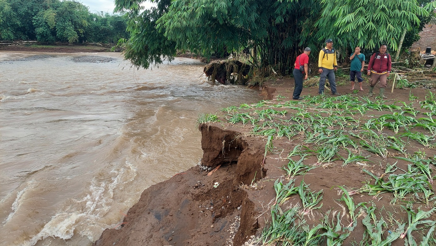 MASIH TINGGI: Kondisi Sungai Dinoyo yang berada di Desa Gugut, Kecamatan Rambipuji yang masih mengkhawatirkan. Alat berat yang diterjunkan untuk melakukan normalisasi pun tidak bisa diturunkan.&nbsp;