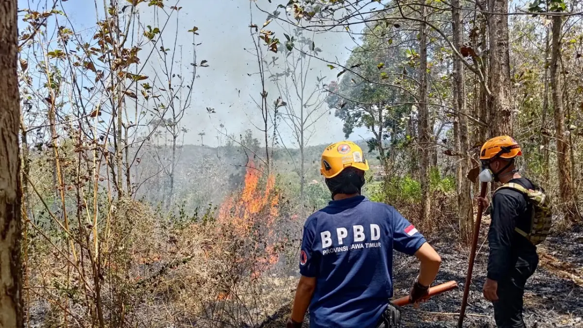 EVAKUASI: Petugas BPBD Bondowoso saat memindahkan pohon tumbang yang mengganggu jalan. Di momen lebaran nanti, BPBD juga mengingatkan kewaspadaan masyarakat akan bencana. (FAQIH)