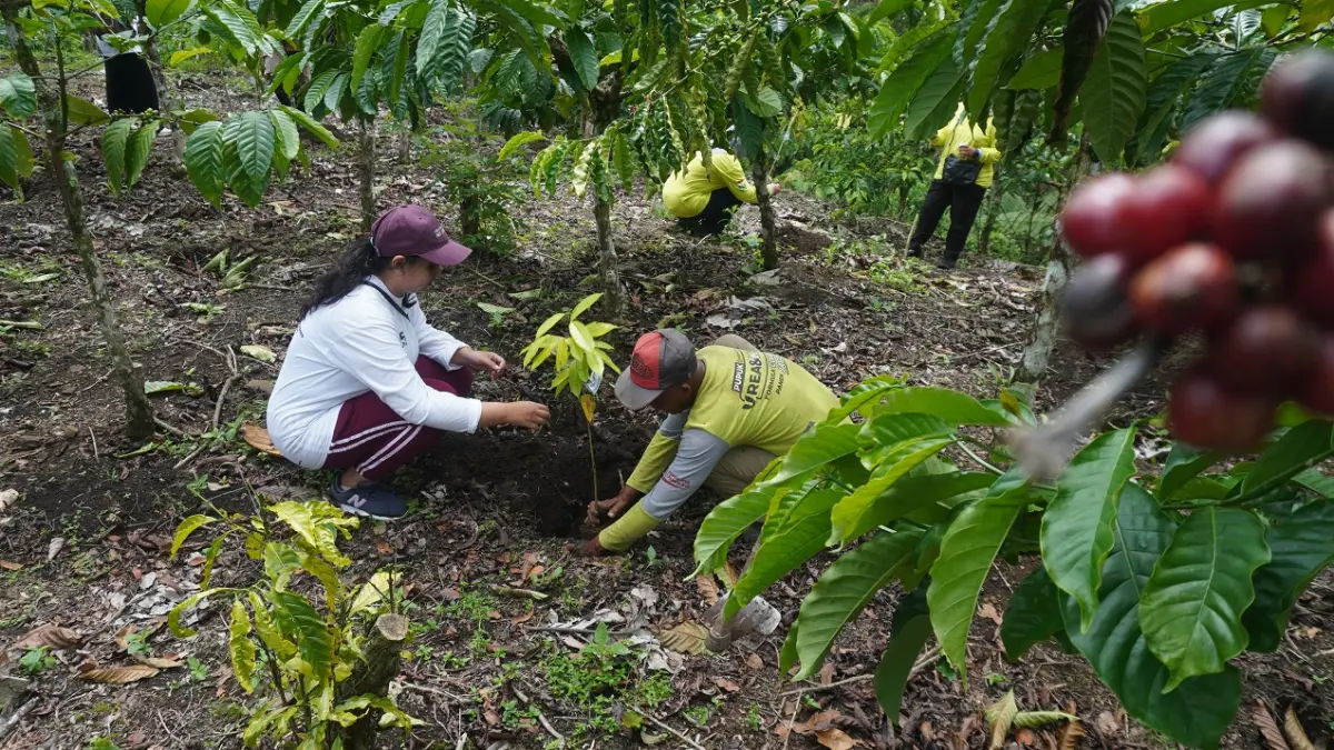 DIJAGA: Masyarakat hutan saat beraktivitas di RPH Sumberjati, Kecamatan Silo, beberapa waktu lalu. Di Jember, 8 ribu hektare hutan telah dikelola sebagai perhutanan sosial. (SIDKIN ALI/RADAR JEMBER)