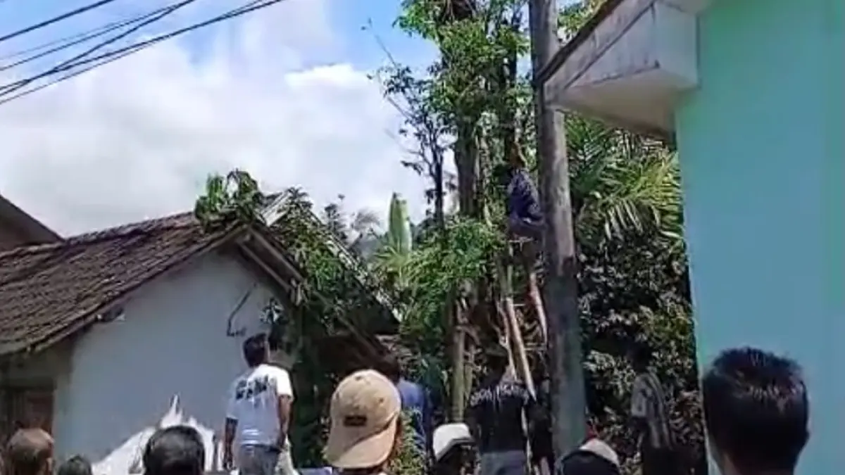 EVAKUASI: Warga bersama petugas saat mengevakuasi jasad korban bernama Abdul Wafi, yang tersengat listrik diatas pohon randu pada Senin (23/3/2026) pukul 09.30 wib