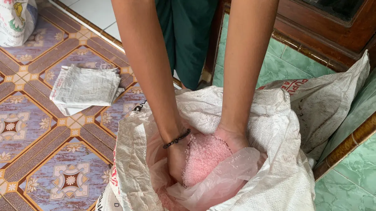 DIPERLIHATKAN: Salah seorang warga saat memperlihatkan Pupuk subsidi di bondowoso.
