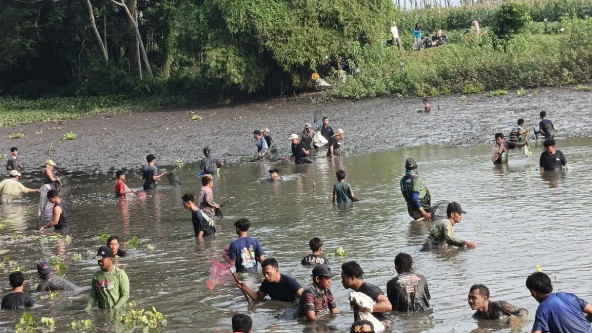 Screenshot PENGERINGAN: Proses pengeringan pemancingan Rowo Sumo, dari serangan hama dan predator ikan sapu-sapu kemarin. (ADE APRYANIS/RAME)
