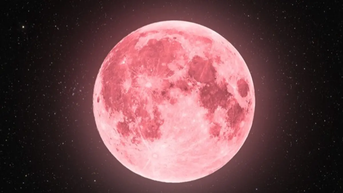 Fenomena Pink Moon