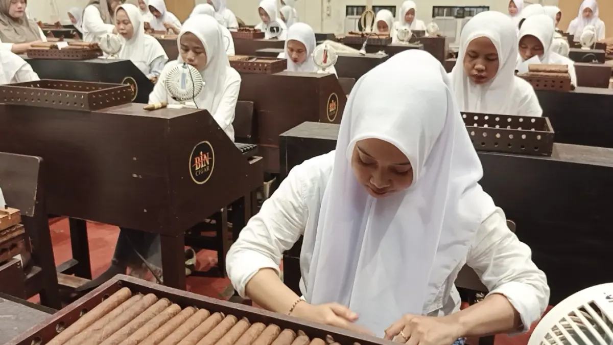 Sejumlah perempuan yang bekerja di salah satu industri tembakau cerutu di Jember. (Foto: Maulana/Radar Jember)