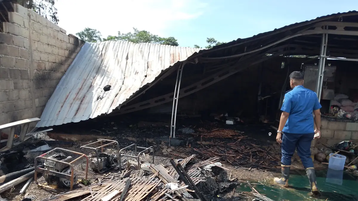 LUDES: Tim Damkar Bondowoso mendatangi gudang yang terbakar di Desa Sempol, Kecamatan Prajekan, kemarin