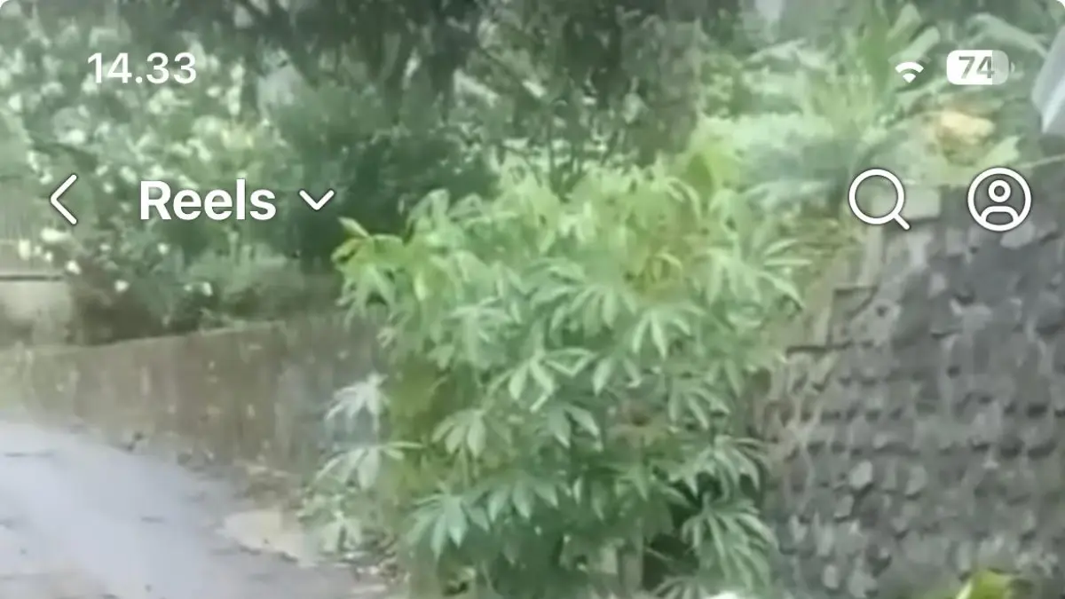 Tangkap layar kondisi jalan rusak di Lumajang