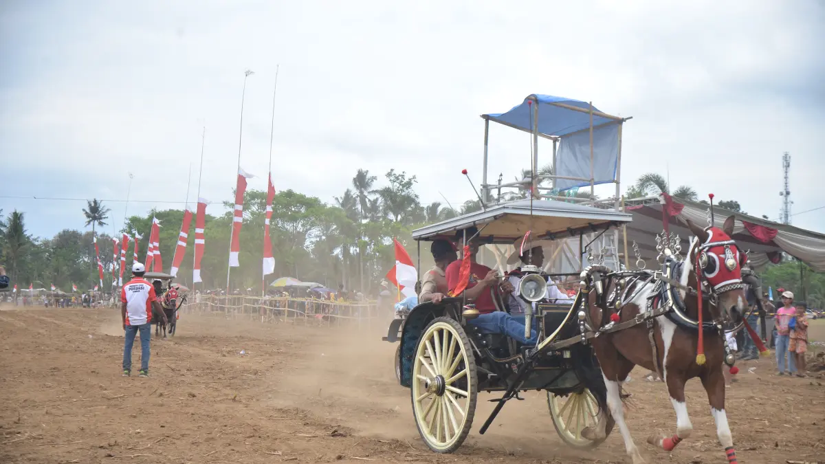 NOSTALGIA: Dokar menjadi transportasi tradisional itu dicoba untuk dihidupkan kembali lewat sebuah event. (PORDASI JEMBER)