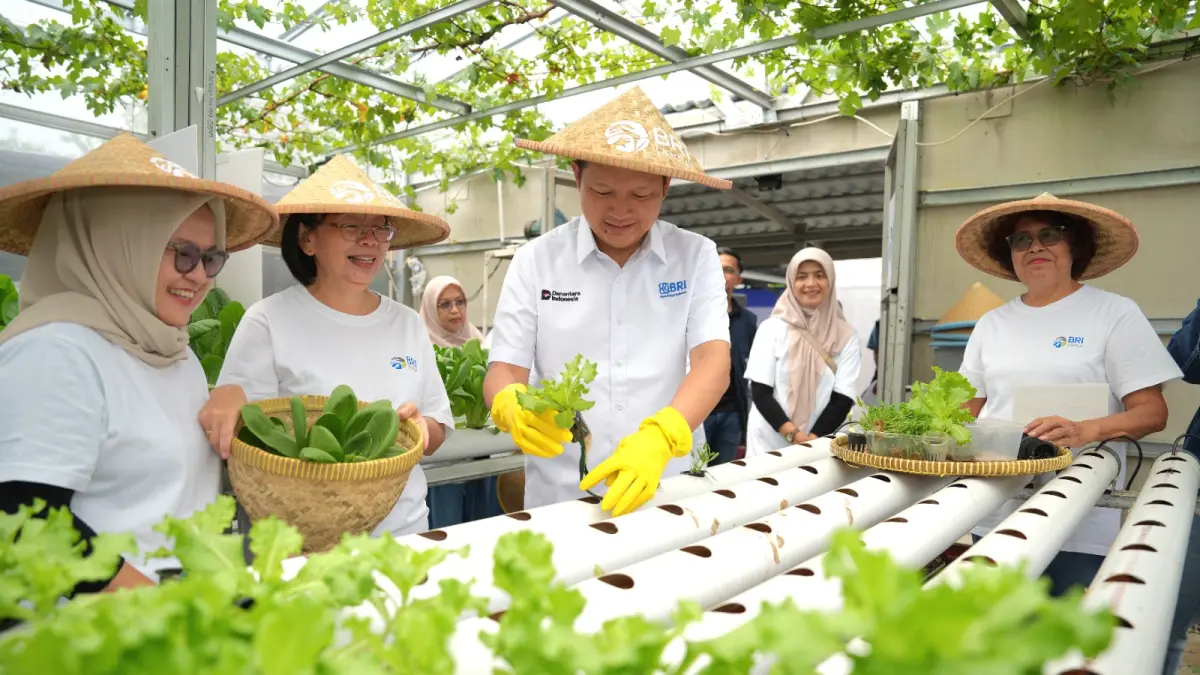 Beragam komoditas kini dibudidayakan, mulai dari sayuran seperti bayam, pakcoy, kangkung, tomat, seledri, kacang panjang, hingga cabai rawit