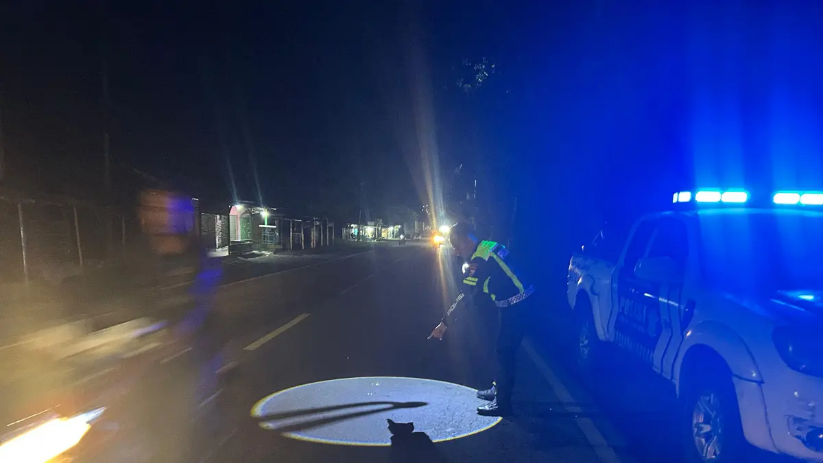 DATANGI LOKASI: Anggota Satlantas Polres Jember mendatangi lokasi kecelakaan di Jalan Raya Dusun Paguan, Desa Petung, Kecamatan Bangsalsari, Selasa (14/4). (JUMAI/RJ)
