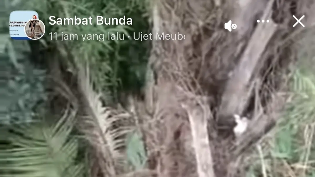 Tangkap layar kondisi bibir sungai yang mulai tergerus