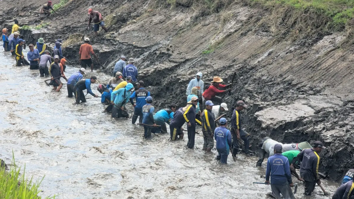 SEMANGAT: Warga dan petugas gotong-royong membersihkan saluran irigasi di Dusun Curah Buntu, Desa/Kecamatan Jenggawah. Ini dilakukan agar aliran air ke sawah kembali lancar. (DPUPR)