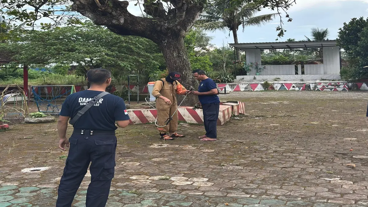 EVAKUASI: Petugas Damkar Bondowoso saat evakuasi ulat bulu yang mengganggu siswa, kemarin (23/4). (DAMKAR)