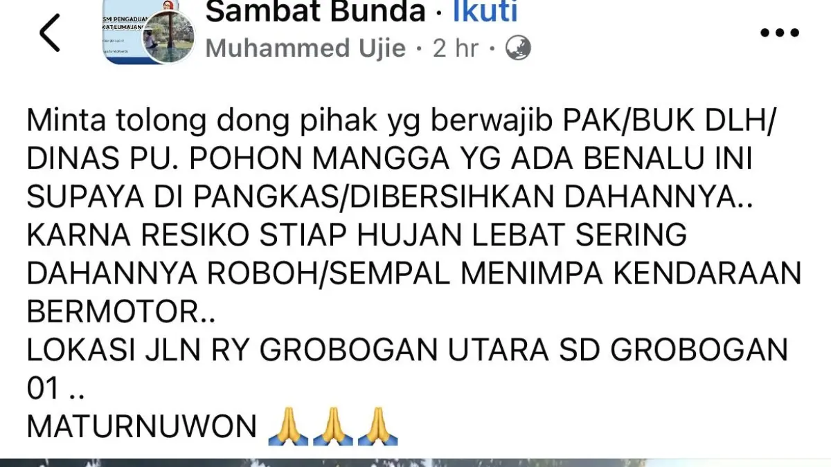 Tangkap layar kondisi pohon yang rimbun di kawasan Kedungjajang