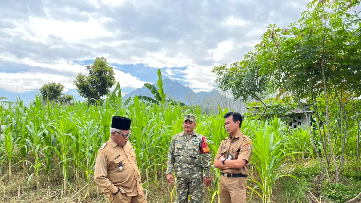 PEMANTAUAN: Camat Tempurejo Muhammad Najmul Huda bersama Kepala Desa Sidodadi Suyono, memonitoring pelaksanaan pembangunan KDMP di Dusun Mandiku, Desa Sidodadi. (Dok. KECAMATAN TEMPUREJO)