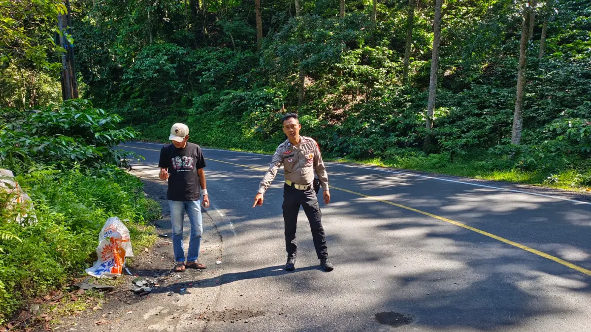 DATANGI LOKASI: Anggota Polsek Silo saat mendatangi lokasi kecelalaan di Km 37 Dusun Gumitir, Desa Sidomulyo, Kecamatan Silo pada Sabtu (25/4) pagi.