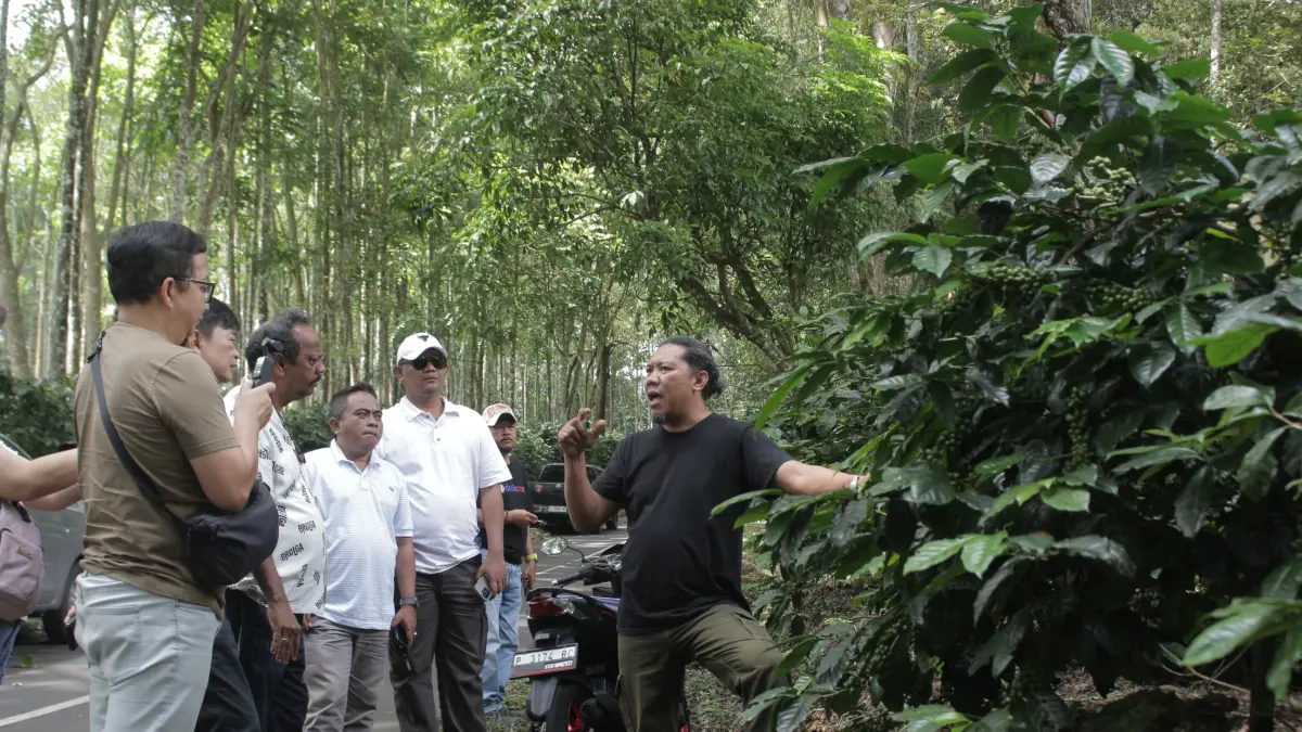 Petani Kopi Bondowoso menjelaskan ciri khas kopi yang ditanam di wilayah Kecamatan Sumberwringin, kemarin. (ILHAM/RJ)
