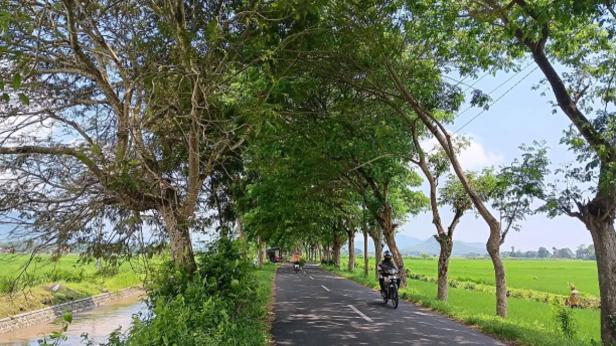 DIMINTA WASPADA: Kondisi jalan di Desa Jatimulyo, Kecamatan Jenggawah. Kasat Lantas Polres Jember mengingatkan waspada kecelakaan terutama saat hujan turun. (M. ADHI SURYA/RADAR JEMBER)