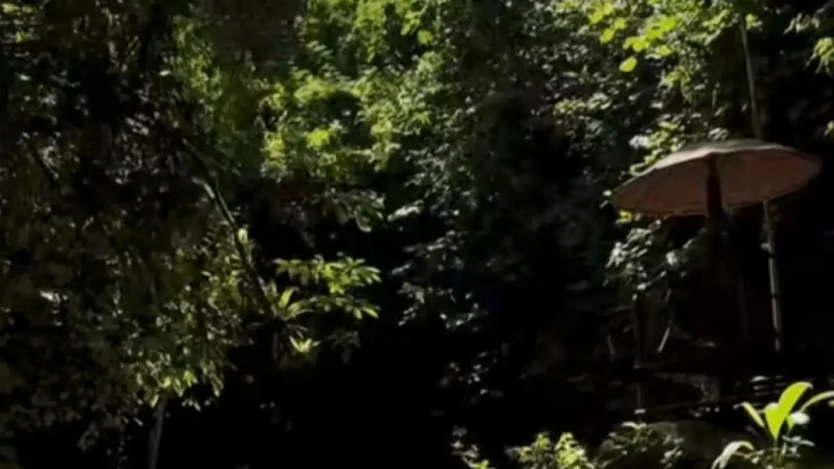 Tangkap layar kondisi wisata sumber telu di Lumajang