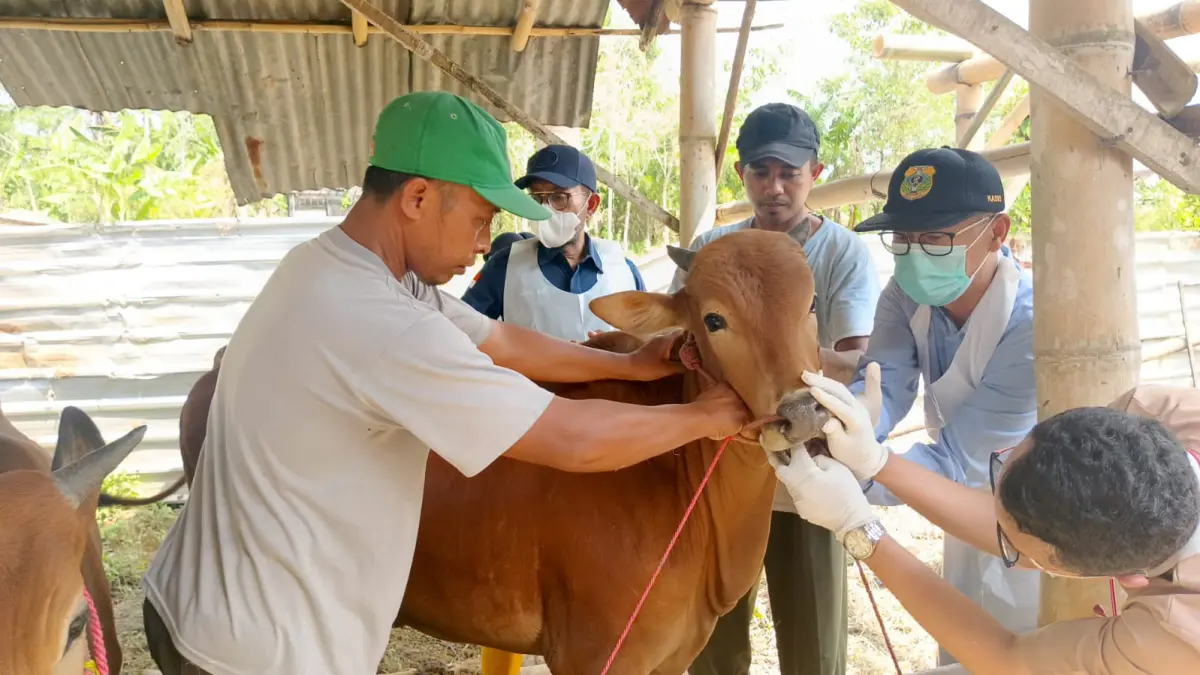DIPASTIKAN AMAN: Sejumlah petugas Dinas Peternakan dan Perikanan Bondowoso memantau sejumlah lapak di berbagai tempat.(ILHAM WAHYUDI/RADAR IJEN)