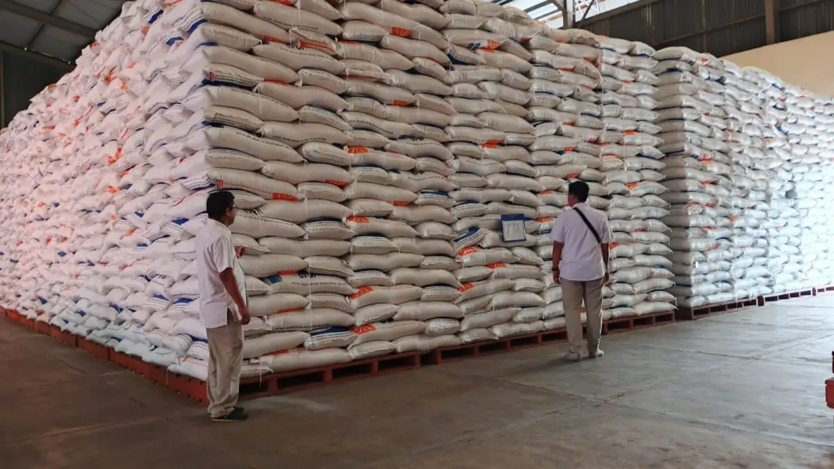 MELIMPAH: Petugas Bulog Bondowoso melihat stok beras yang ada di gudang. (ILHAM WAHYUDI/RADAR IJEN)