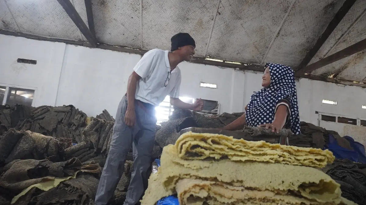 CARA KONVENSIONAL: Salah satu pekerja yang bertugas melakukan packing karet sebelum dilakukan proses lebih lanjut, di pabrik pengolahan karet Perkebunan Gunung Pasang, di Desa Suci, Kecamatan Panti. (MAULANA/RADAR JEMBER)