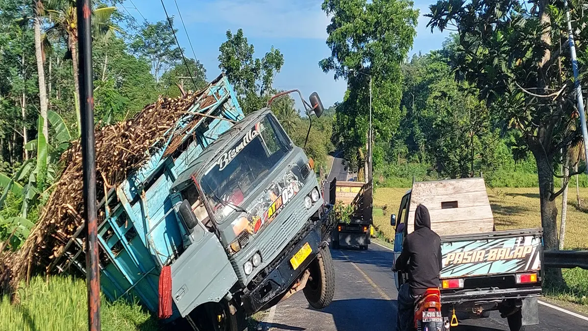 MASUK SAWAH: Truk Fuso L 8364 UC bermuatan tebu yang disopiri Muhammad Amzah, 40 warga Kecamatan Tempurejo masuk sawah di Dusun Krajan, Desa Sumber Kejayan, Kecamatan mayang Sabtu (23/5) pukul 23.00.(JUMAI/ RADAR JEMBER)