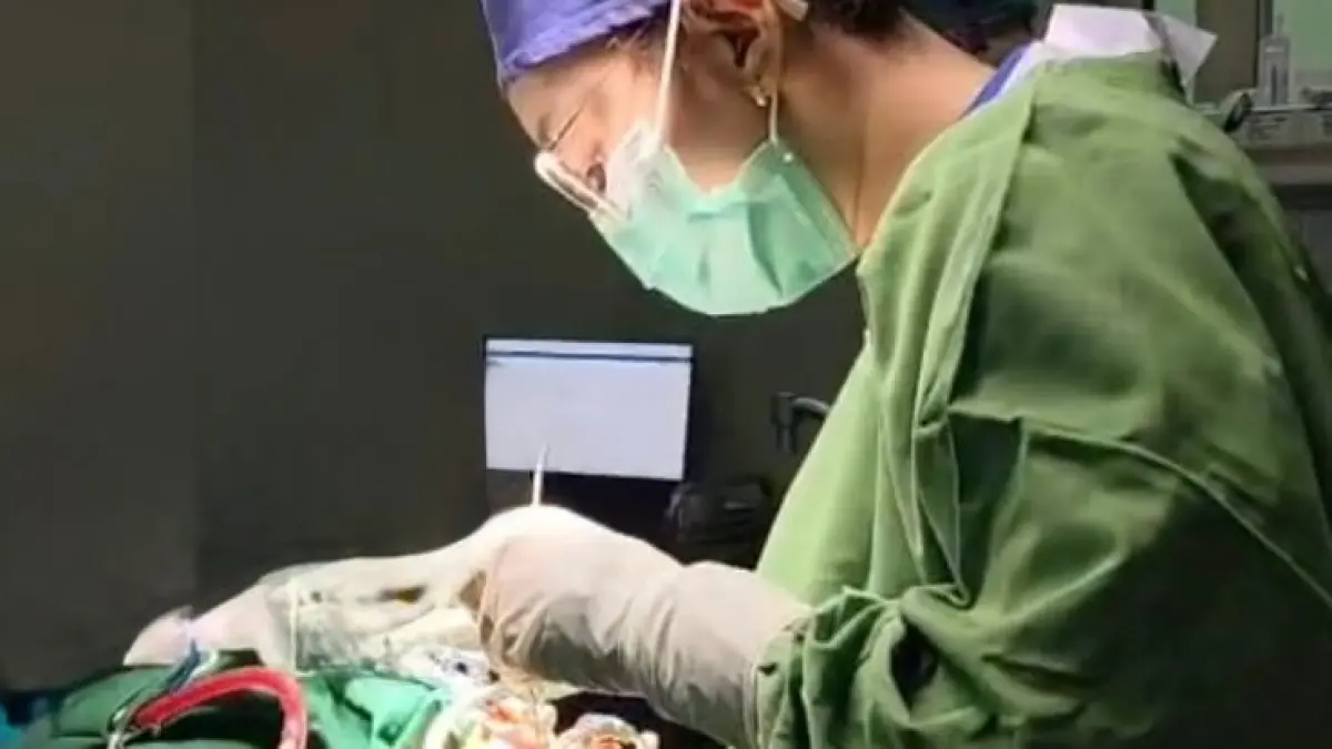 PEDULI: Dokter tengah menjalani operasi bibir sumbing gratis yang digelar oleh RS Bina Sehat. (RSBS)