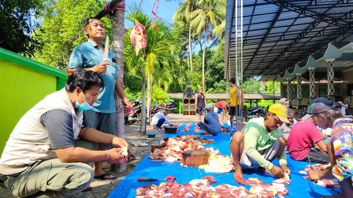 PENGECEKAN: Petugas DKPPP Jember memeriksa daging hewan kurban di lokasi penyembelihan, kemarin (28/5). Hasilnya ada temuan yang terinfeksi cacing hati. (DKPPP JEMBER)
