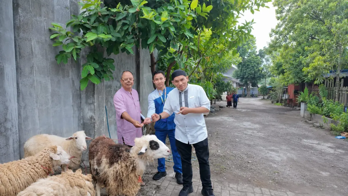 Atas: Penyerahan kambing kurban dari pihak Aston Inn Lumajang kepada Takmir Masjid Al-Huda, Lumajang
