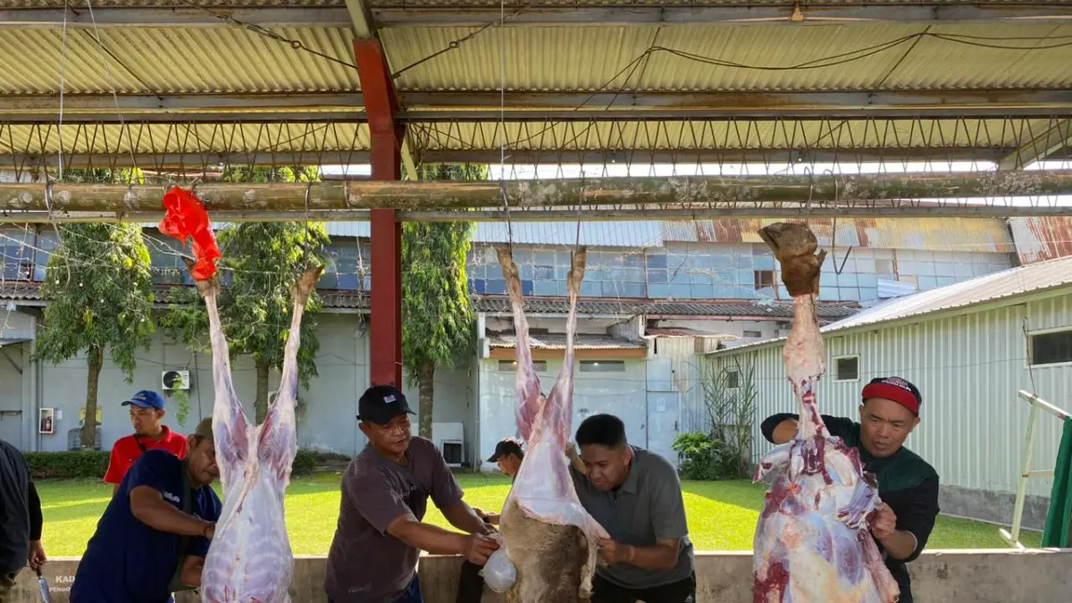 PT Mitratani Dua Tujuh Gelar Penyembelihan Hewan Kurban Hari Raya Iduladha 1447 H
