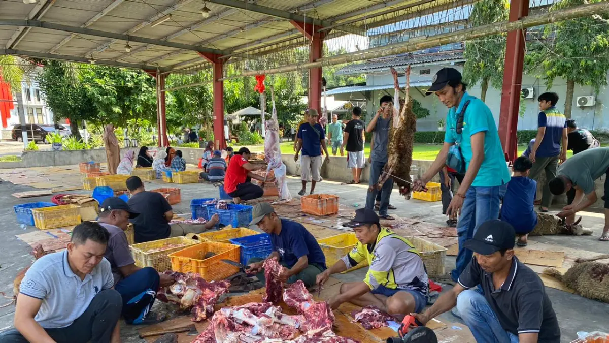 PT Mitratani Dua Tujuh Gelar Penyembelihan Hewan Kurban Hari Raya Iduladha 1447 H
