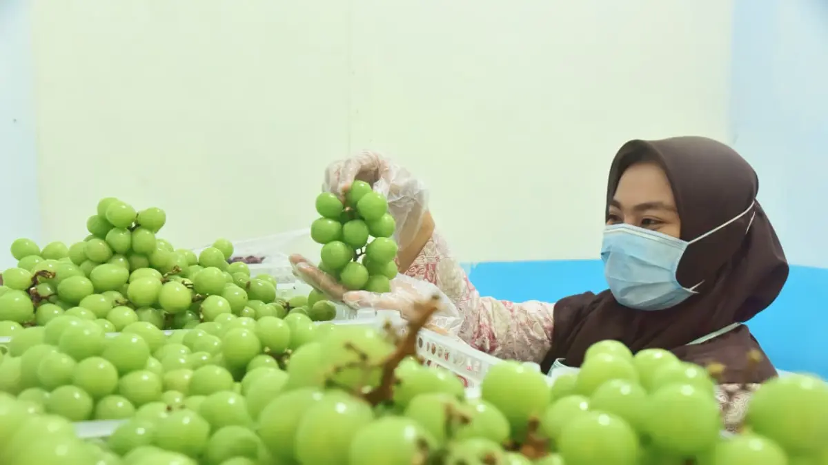 BAGIKAN: Salah satu relawan di salah satu dapur sedang memilah buah untuk disajikan, beberapa waktu lalu.(ATIEQSON MAR IQBAL/RAME)