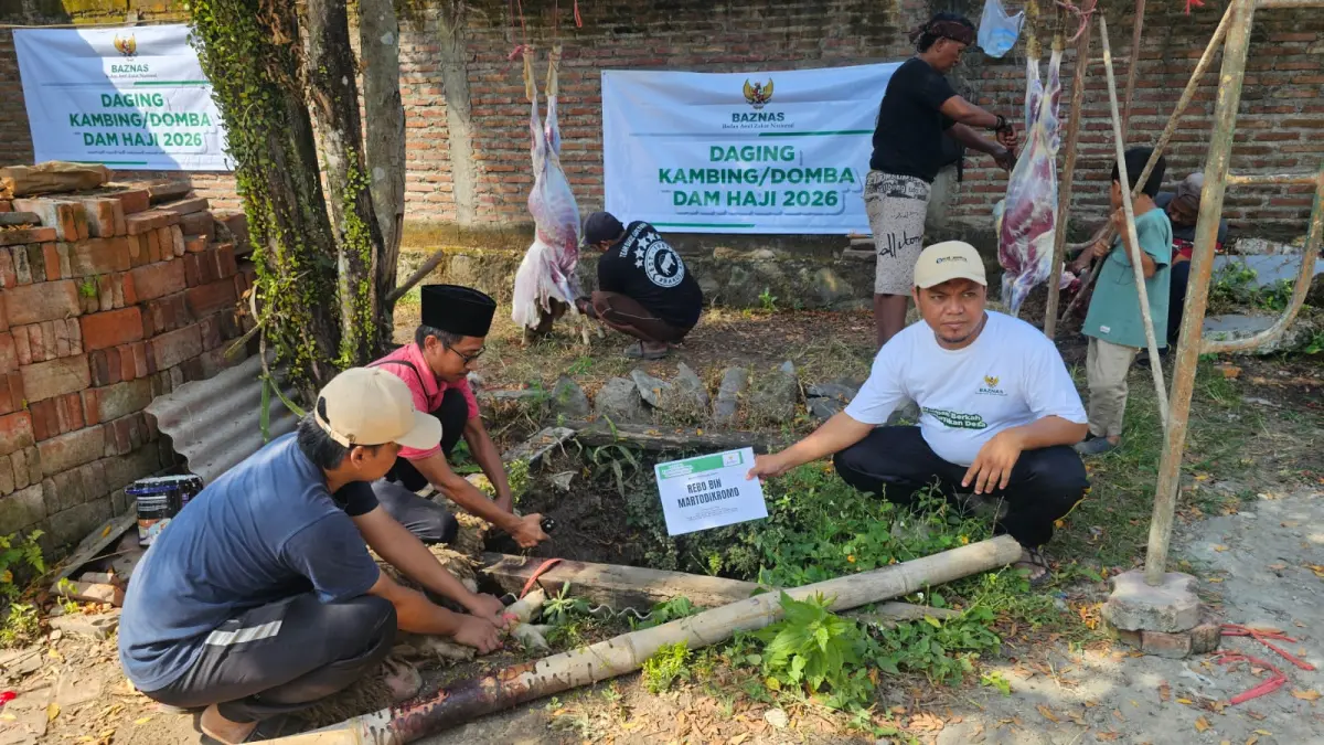 Pertama Kali, BAZNAS Jember Sembelih Domba Dam Jamaah Haji Indonesia dan Salurkan ke Mustahik