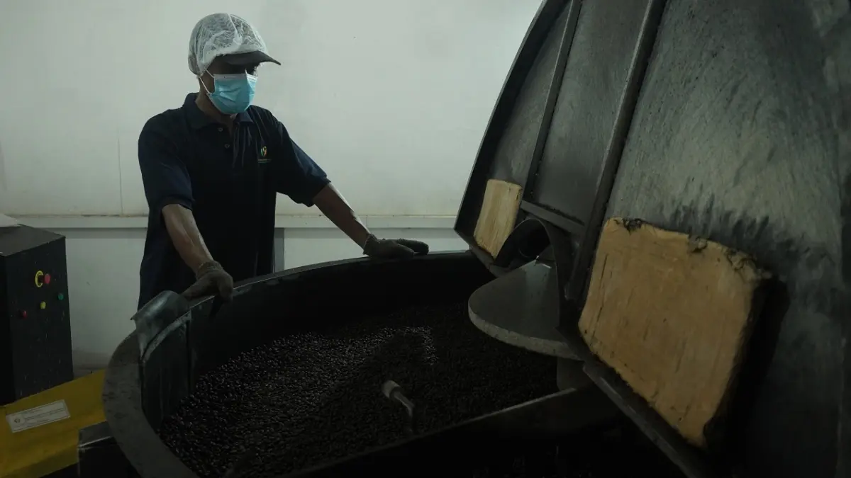 PANTAU WARNA: Mesin roasting berkapasitas 60 kilogram dipantau terus oleh pegawai PDP Kahyangan. Karena proses roasting juga menjadi salah satu penentu cita rasa kopi. (SIDKIN ALI/RADAR JEMBER)
