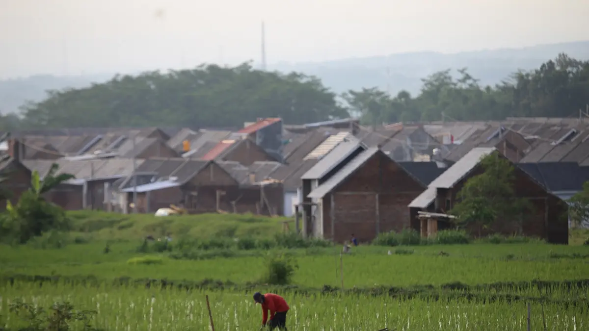 SALING BERDEKATAN: Lahan pertanian dan kawasan perumahan di Kecamatan Sumbersari, menjadi salah satu objek pajak. (DWI SISWANTO/RADAR JEMBER)