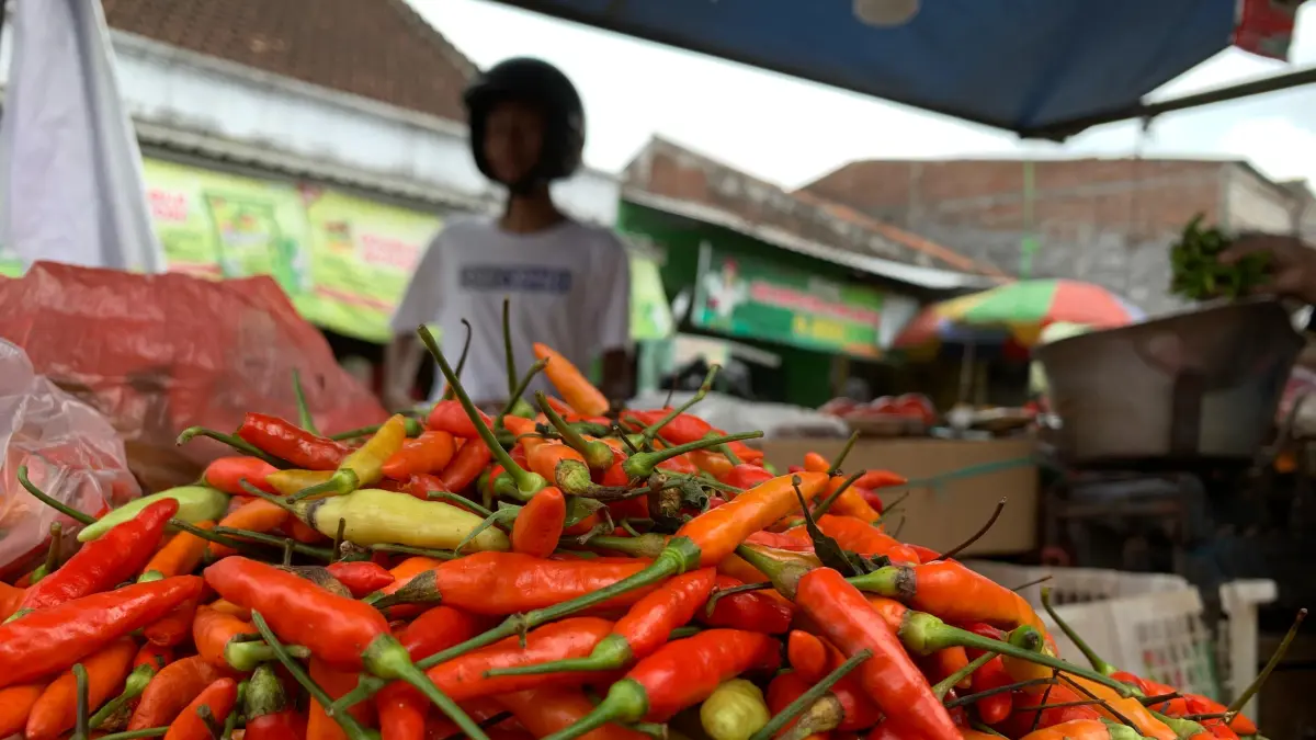 TURUN: Sejumlah komoditas bahan pangan di Lumajang alami penurunan sejak beberapa hari terakhir.