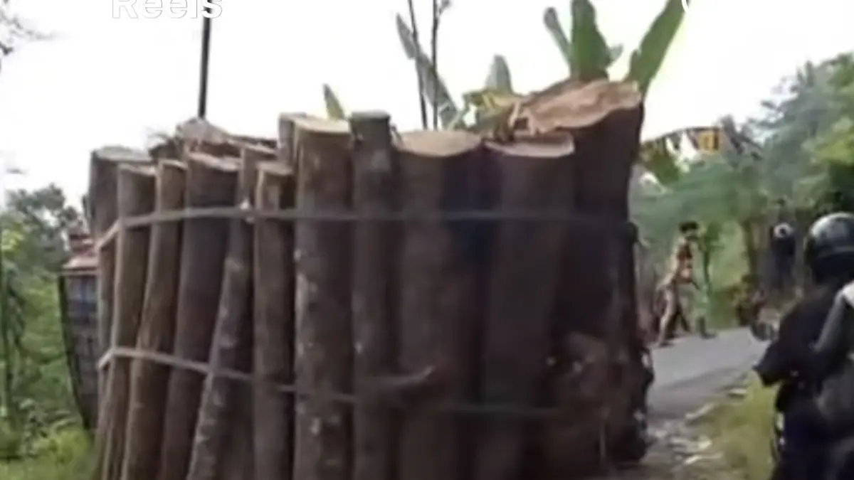 Tangkap layar sebuah truk muatan kayu terguling