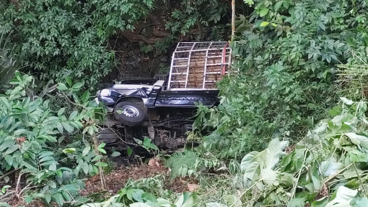 TERJUN KEJURANG: Mobil Pikap L 300 P 8456  EE disopiri Hendra Priatna Tirtawan, 40, warga Kecamatan Sumber Wringin, Situbondo. (JUMAI/RJ)
