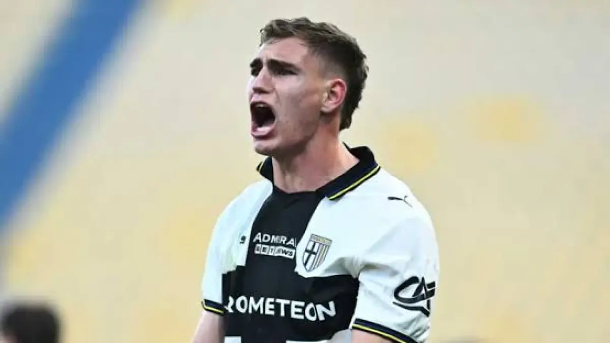mateo pellegrino