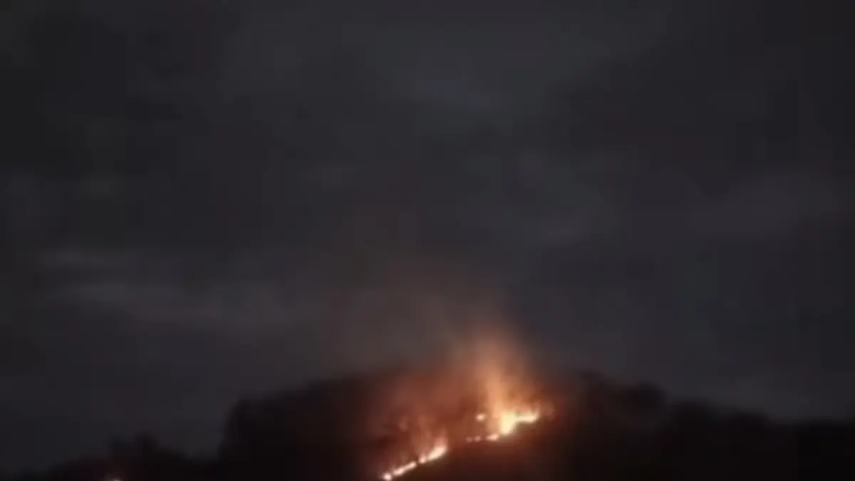Tangkap layar kondisi Gunung Pucang di Lumajang sempat alami kebakaran