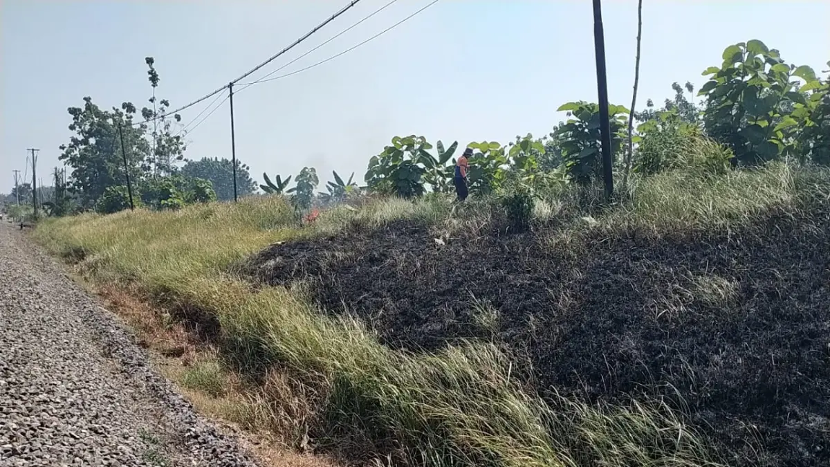 Musim Kemarau dan Angin Kencang: KAI Daop 7 Madiun Tegaskan Larangan Bakar Jerami di Dekat Jalur KA karena Picu Kebakaran dan Menjalar ke Jalur KA
