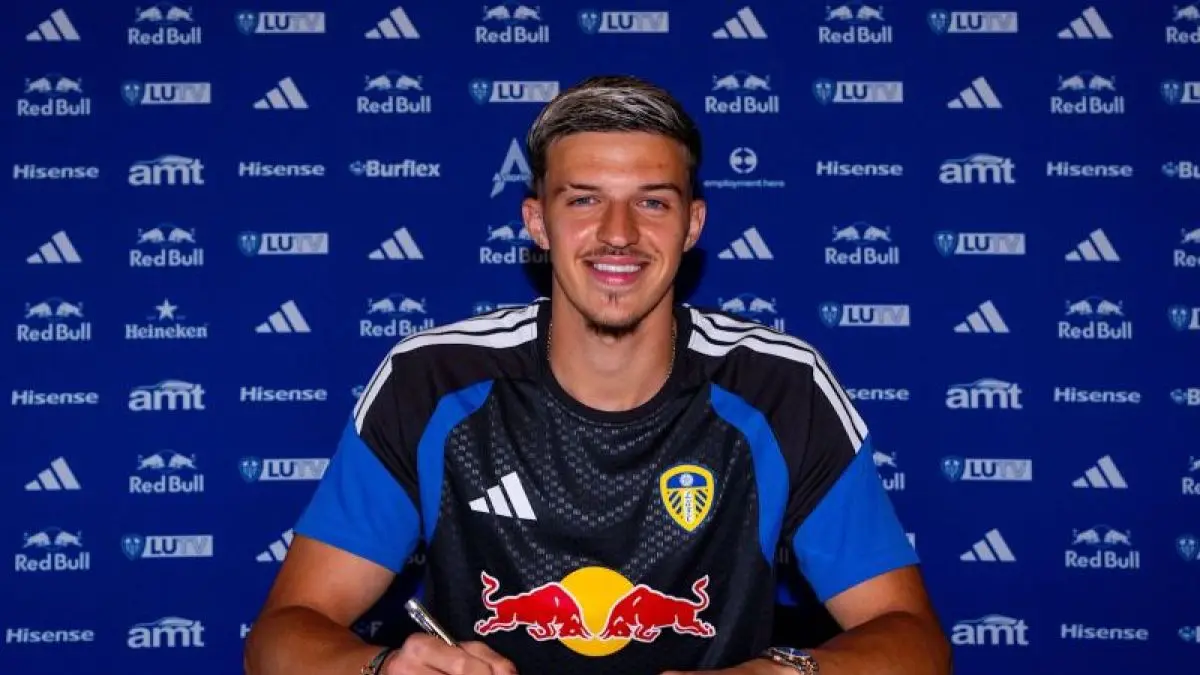 tarik muharemovic