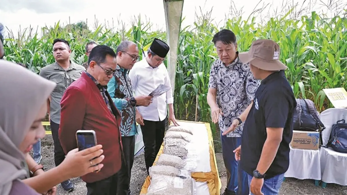 BANGUN KEMITRAAN STRATEGIS: Gus Fawait, di sela-sela peresmian Inkubator Agribisnis, Pemkab Jember dan Fakultas Pertanian Universitas Kebangsaan Republik Indonesia (UKRI), di areal persawahan, Desa Jatisari, Jenggawah, Minggu (21/7). (MAULANA/RADAR JEMBER)
