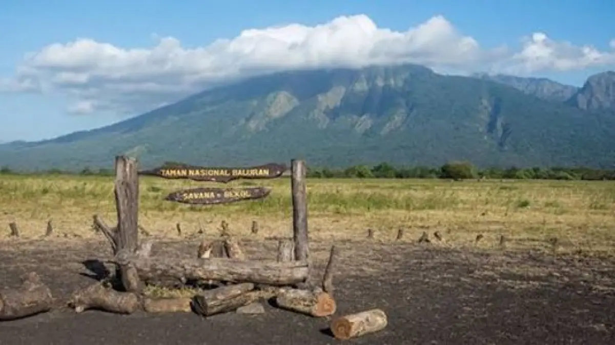 Taman Nasional Baluran. (BATIQA Hotels)